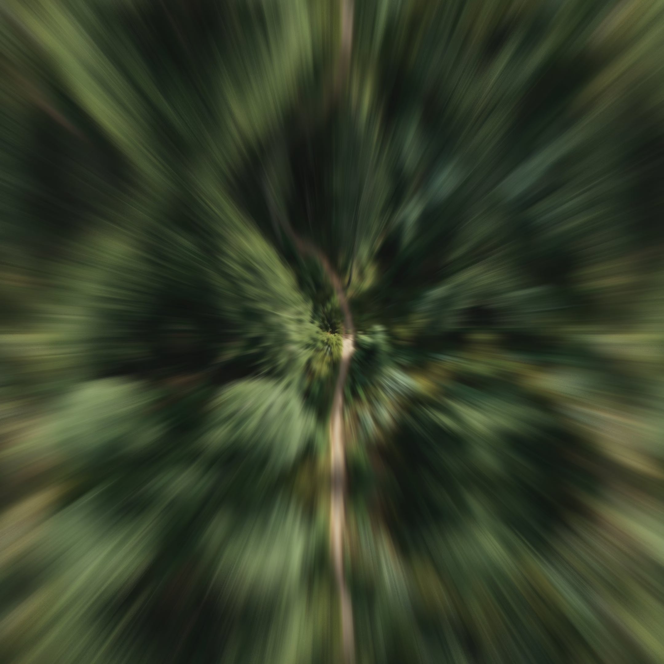 Încarcă video: PURE ESSENCE Parfum de rufe zilnic cu note citrice 5ML